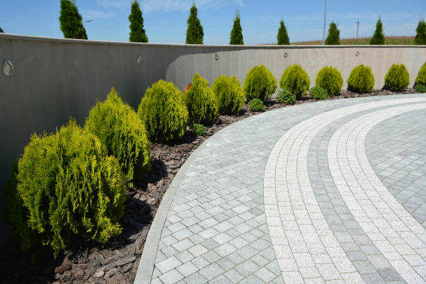 Best Best Driveway Pavers  in Roland, IA